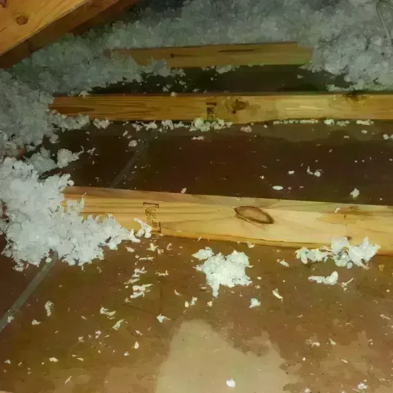 Attic Water Damage in Jewell County, KS