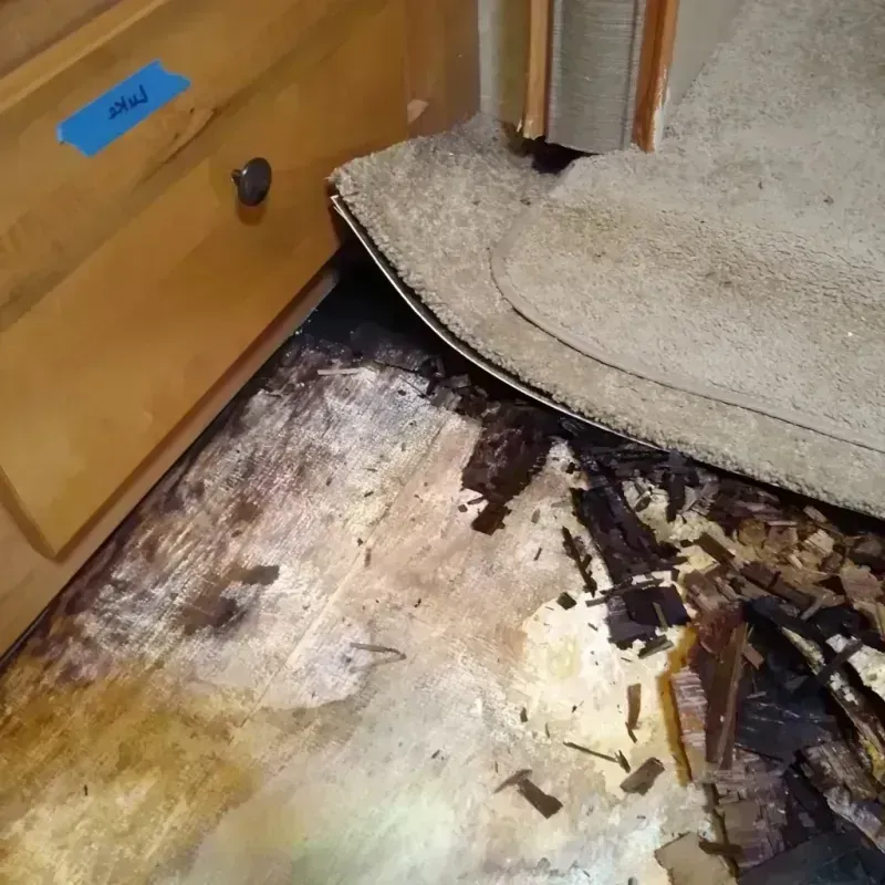 Best Wood Floor Water Damage Service in Jewell County, KS